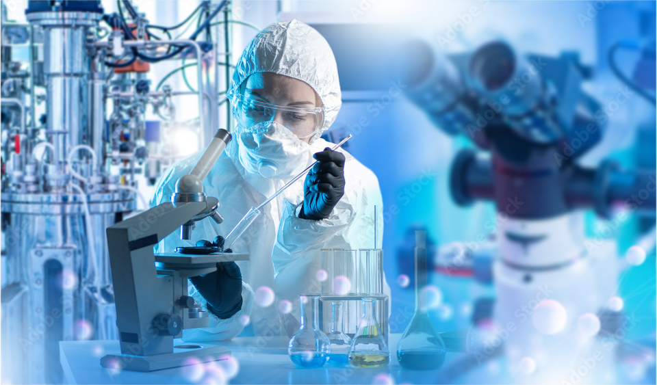 Biotechnology 11 And 12 Standard