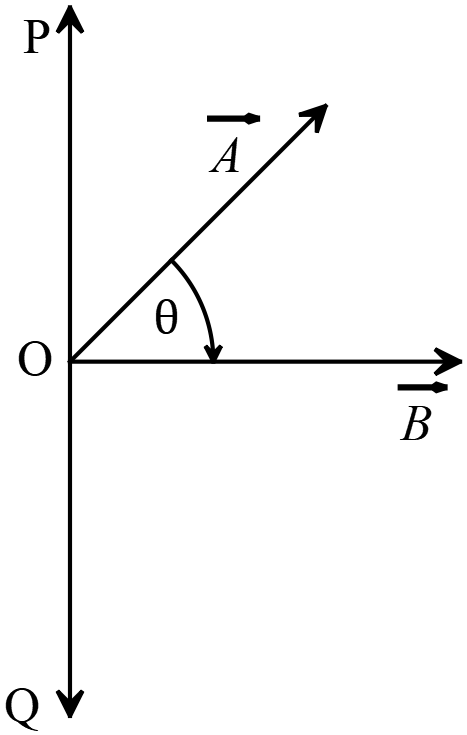 mqphyvecimage